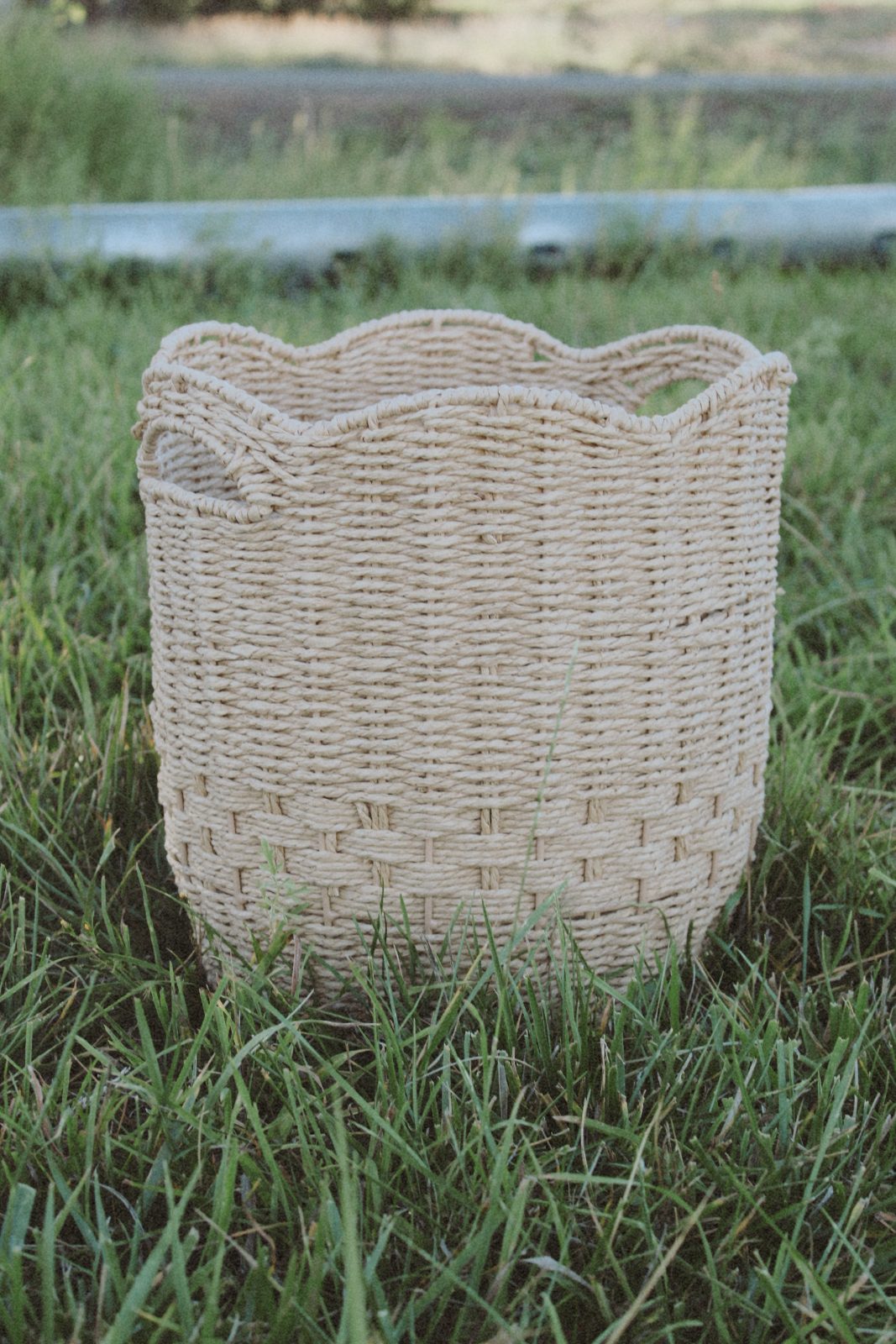 Small Tulip Basket