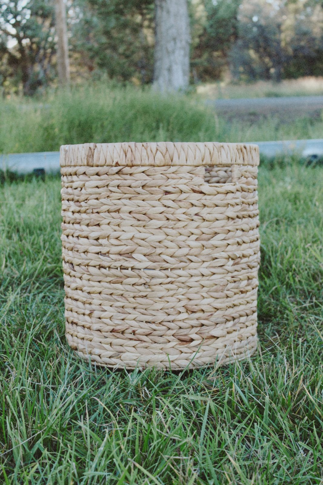 Medium Round Basket