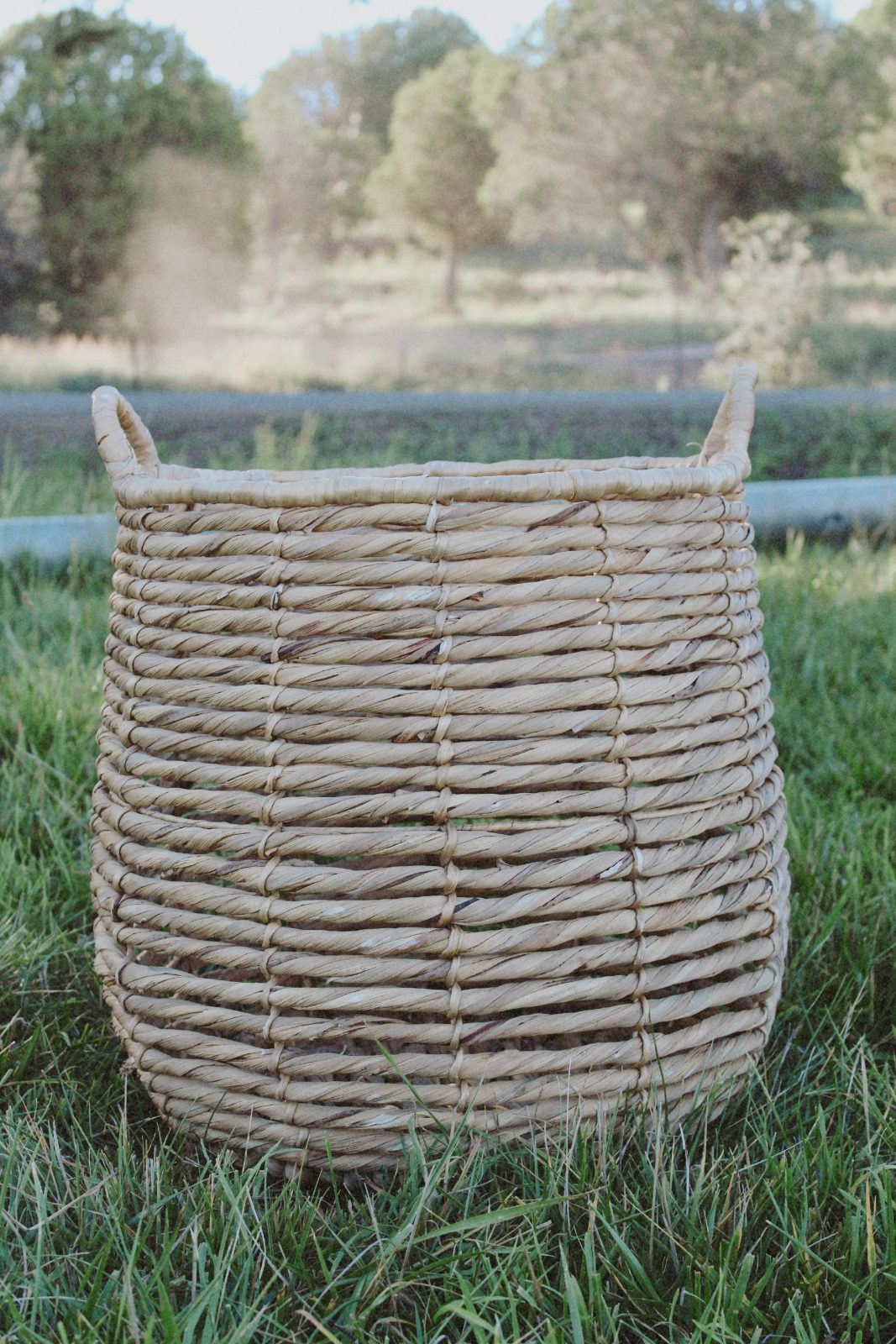 Large Round Basket